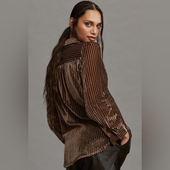 Pilcro Anthropologie Velvet sheer burnout Metallic Brown Button Down blouse - Picture 2 of 7